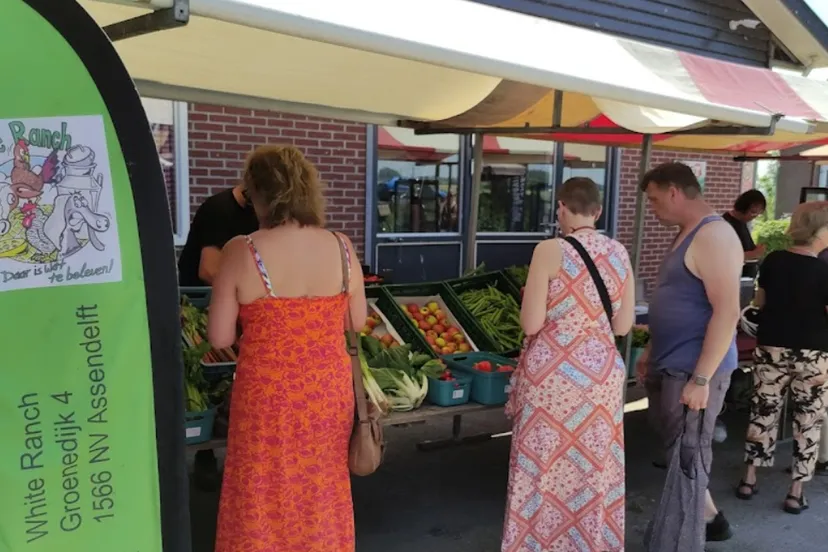 screenshot 20230802 135059