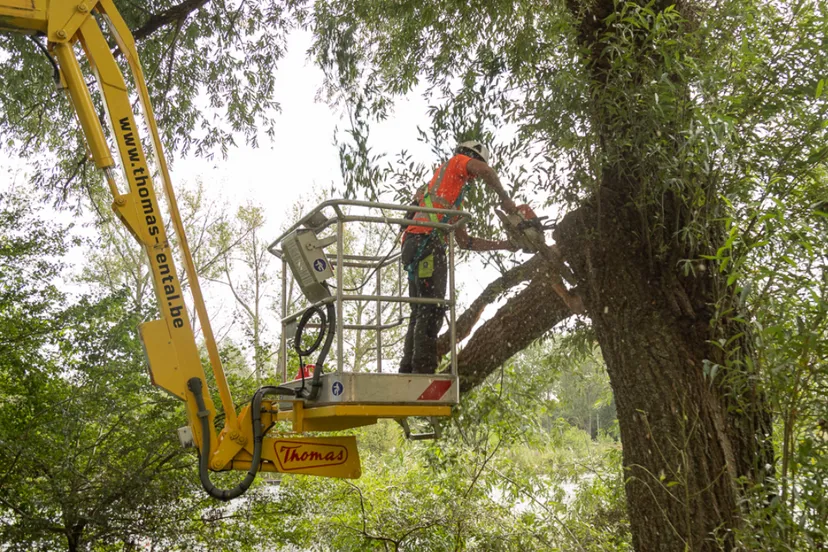 screenshot 20230829 091344