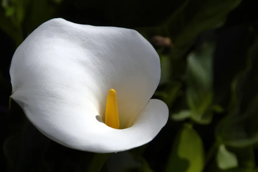 screenshot 20230830 140121