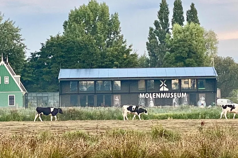 screenshot 20230906 093437