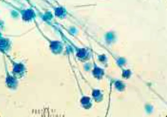 screenshot 20230906 101956