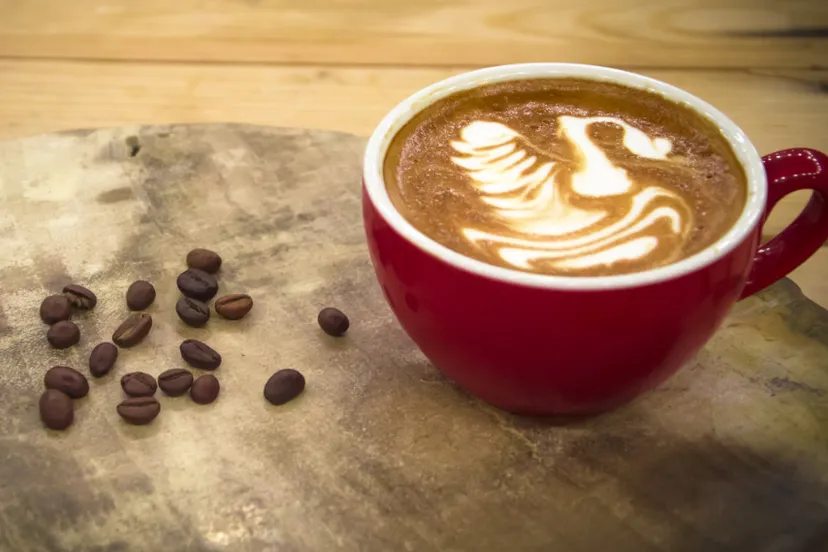 screenshot 20230908 123826