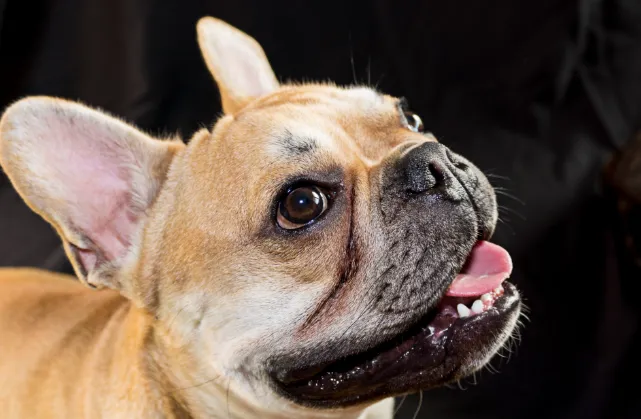 screenshot 20230914 110147