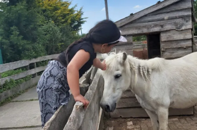 screenshot 20230914 121913