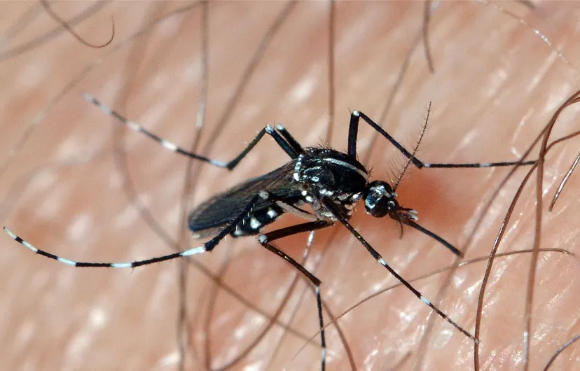 screenshot 20230918 113242