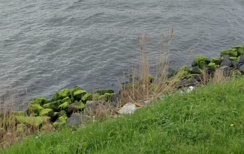 screenshot 20230918 134727