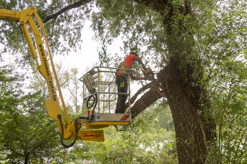 screenshot 20230928 110709