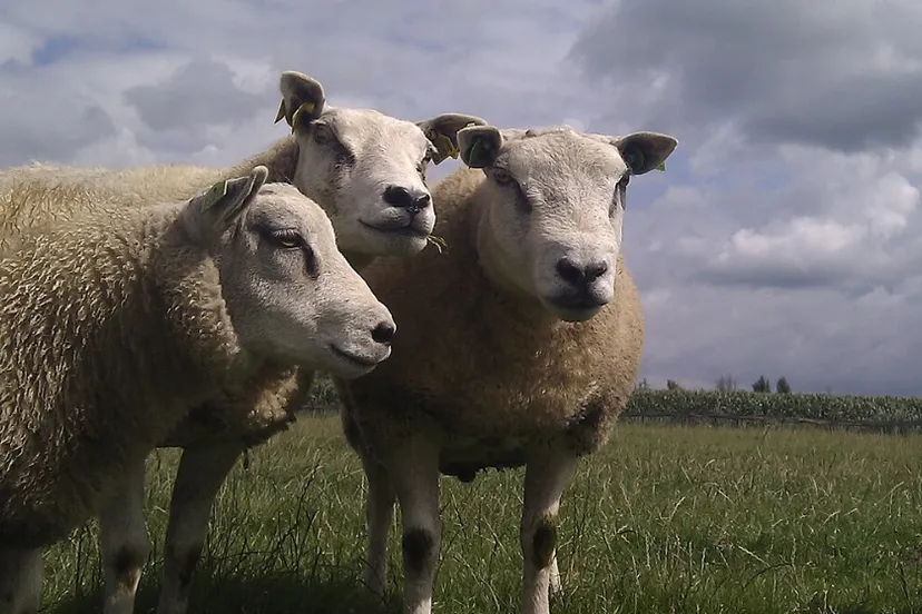 screenshot 20230928 122534