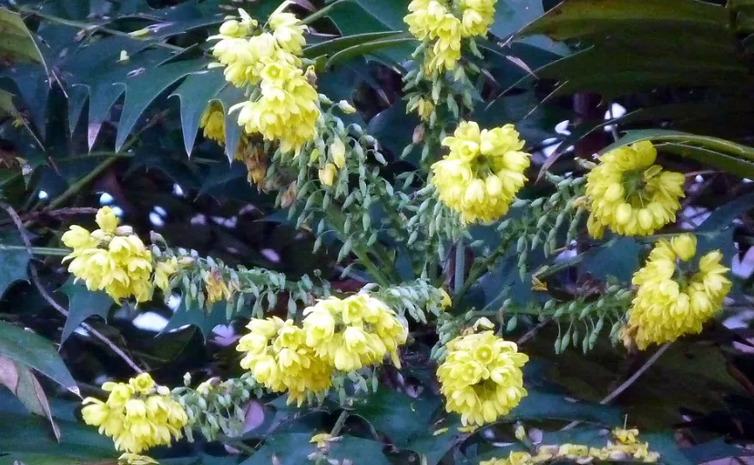 screenshot 20230929 132929