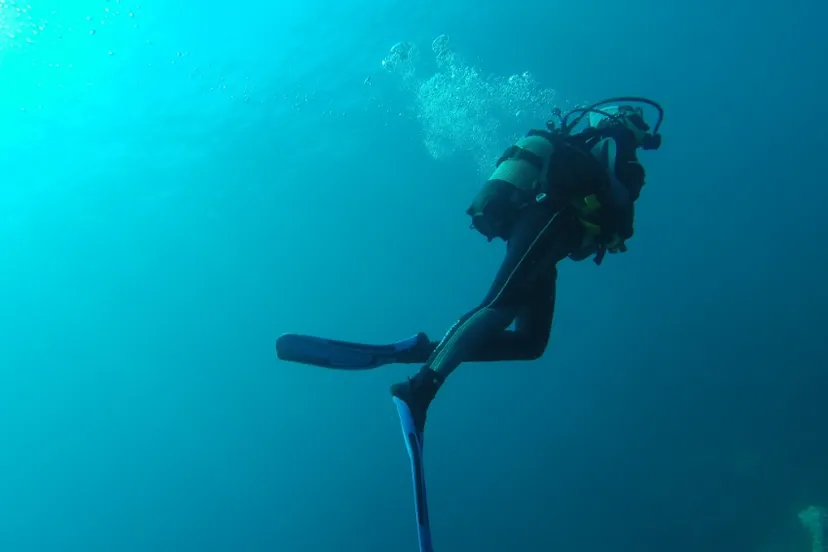 screenshot 20230930 085109