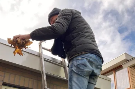 screenshot 20231003 123233