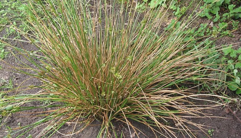 screenshot 20231005 152723