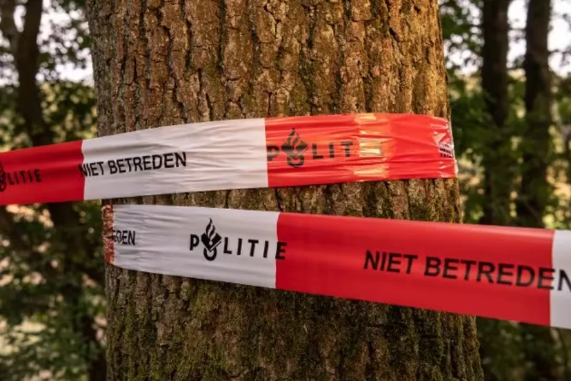 screenshot 20231008 094025