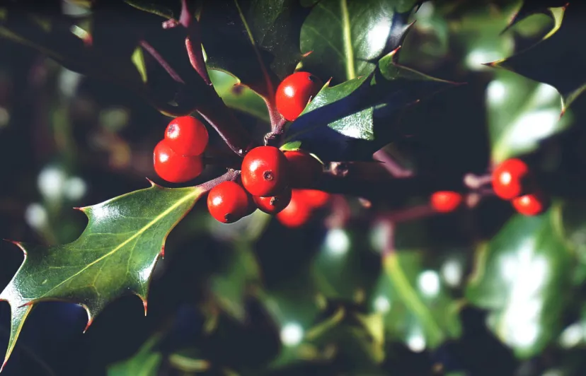 screenshot 20231025 093116