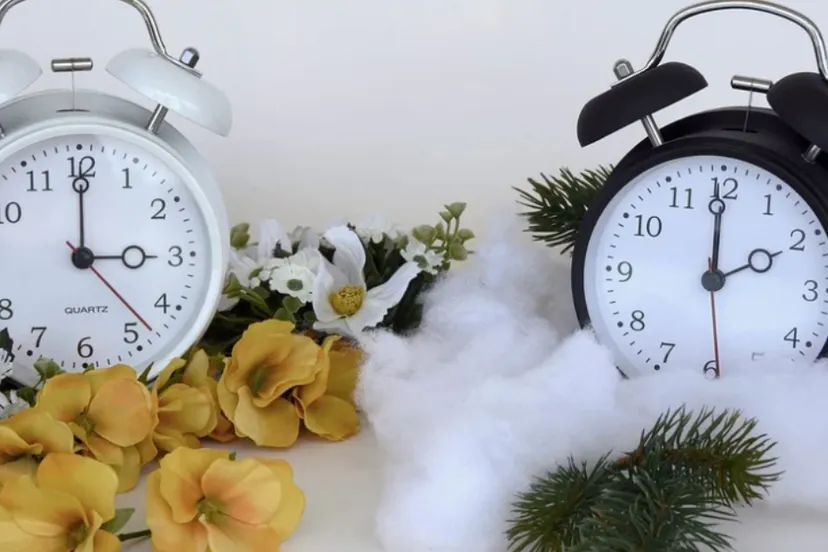 screenshot 20231027 115316