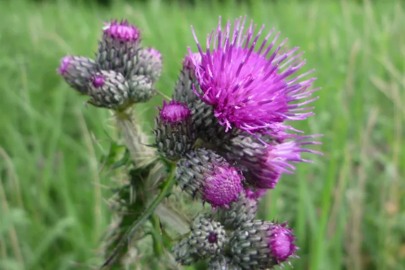 screenshot 20231029 085747