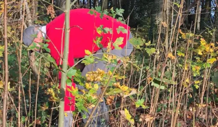 screenshot 20231030 133402