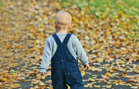 screenshot 20231104 115018