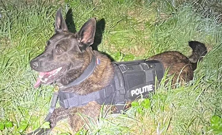 screenshot 20231107 095007