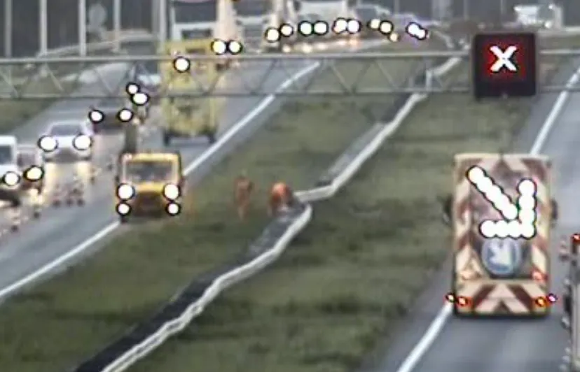 screenshot 20231108 083248