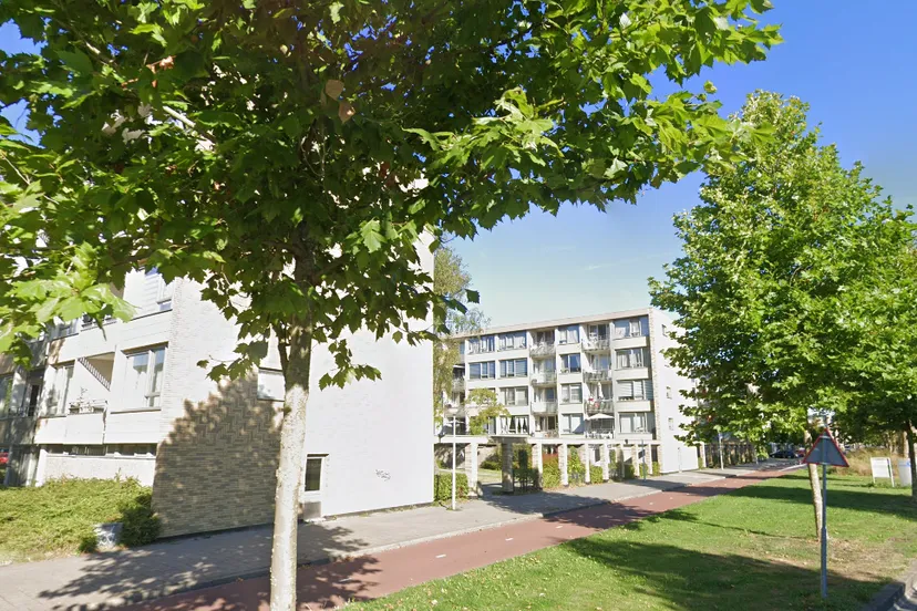 screenshot 20231111 120257