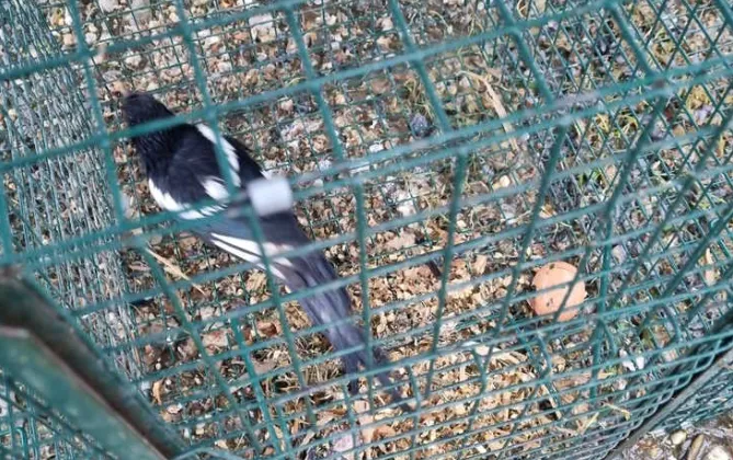 screenshot 20231115 103002