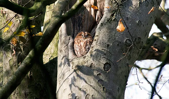 screenshot 20231122 115931