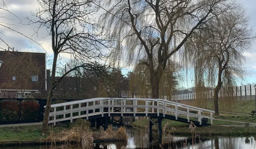 screenshot 20231127 152532