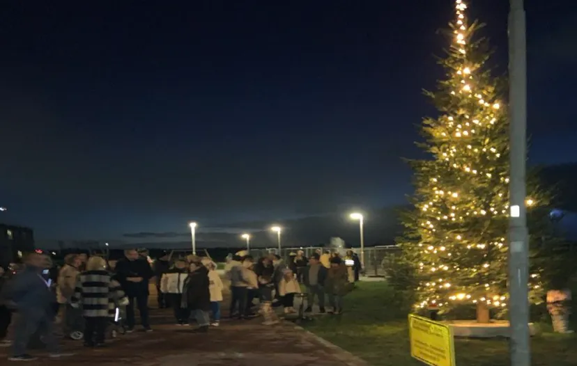 screenshot 20231201 123600