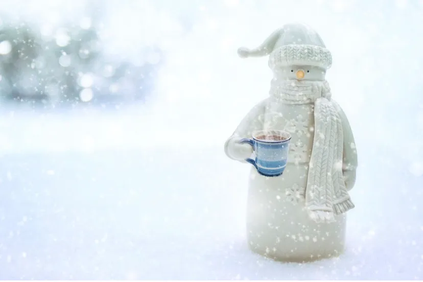 screenshot 20231202 124632