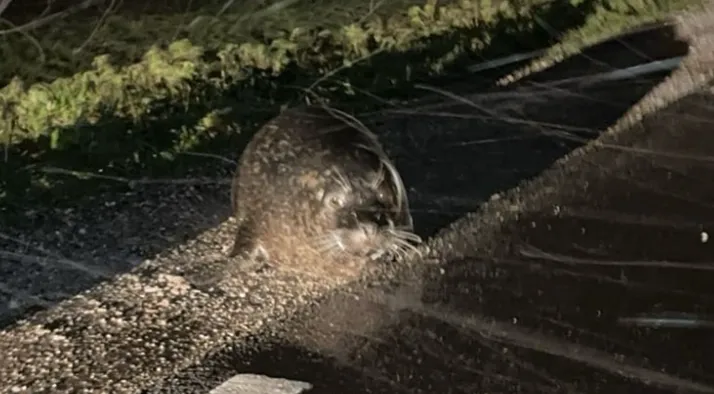 screenshot 20231204 075953