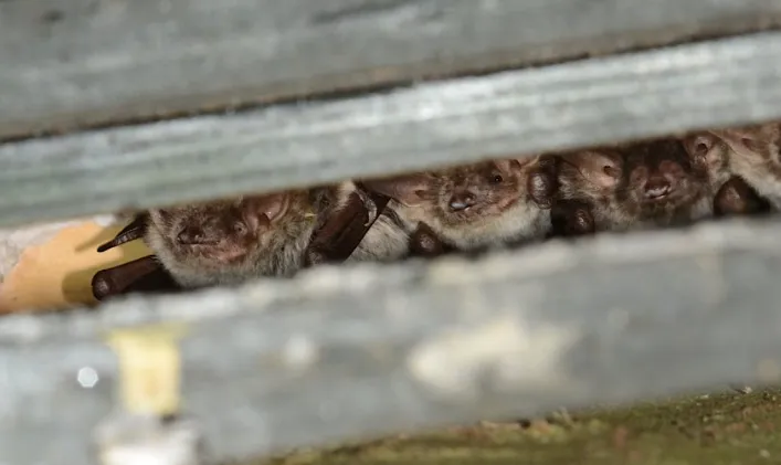 screenshot 20231211 170306