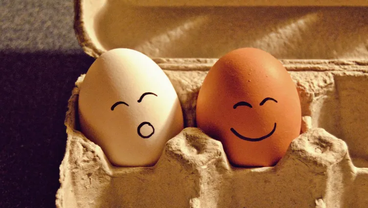 screenshot 20231219 122927