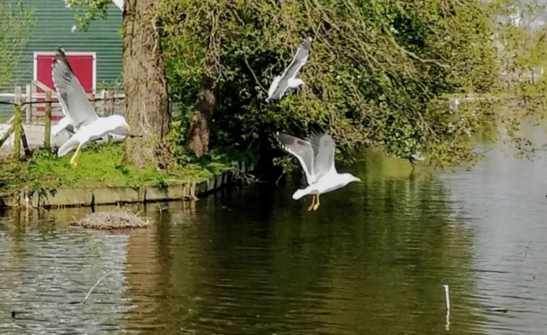 screenshot 20231229 144620