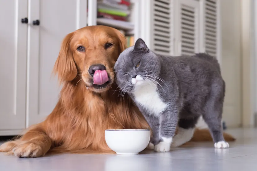 screenshot 20240102 091811