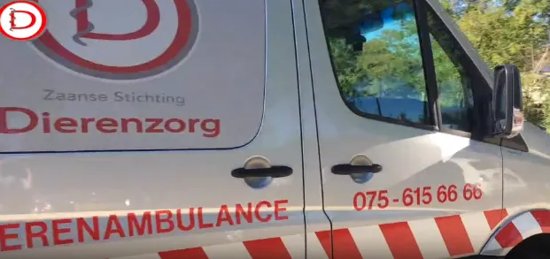 screenshot 20240104 123006