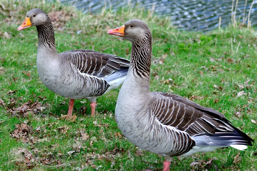 screenshot 20240105 103205