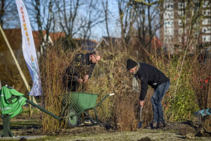 screenshot 20240112 150522