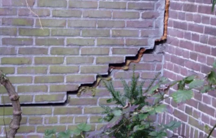 screenshot 20240112 155001