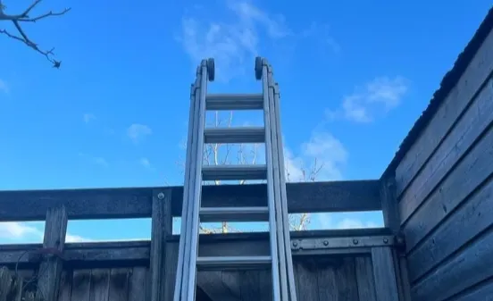 screenshot 20240118 113202