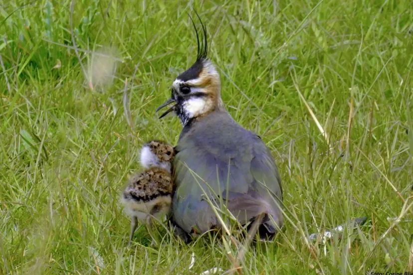 screenshot 20240119 120754