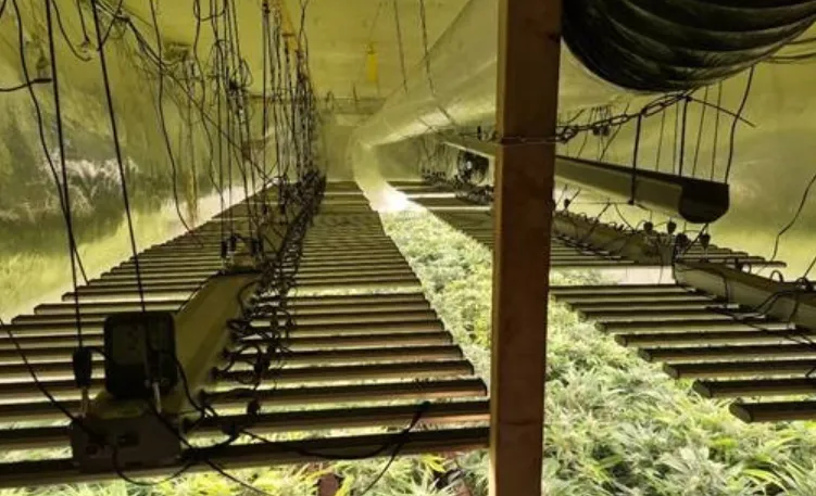 screenshot 20240122 162150