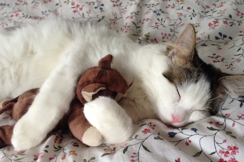 screenshot 20240127 082658