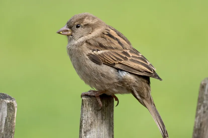 screenshot 20240129 130356