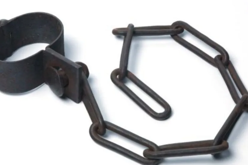 screenshot 20240209 082216