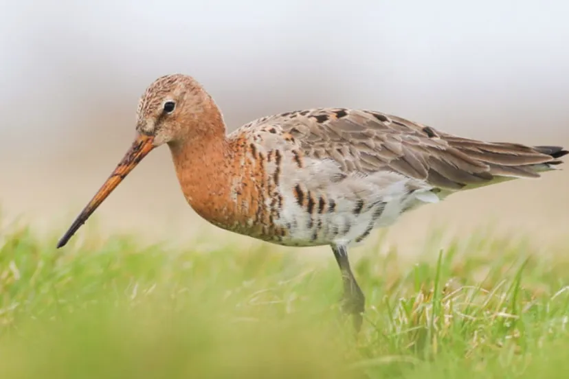 screenshot 20240216 162154