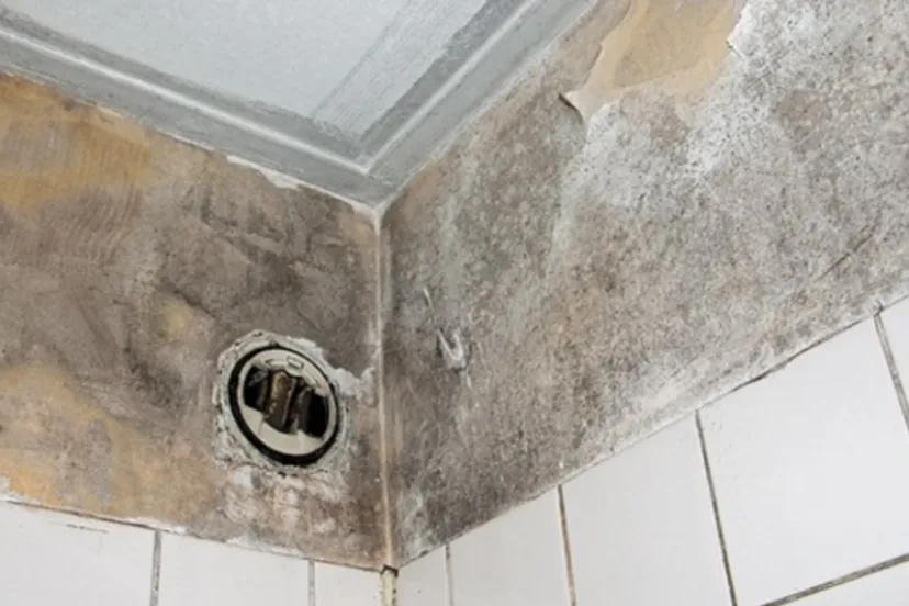 screenshot 20240301 123452