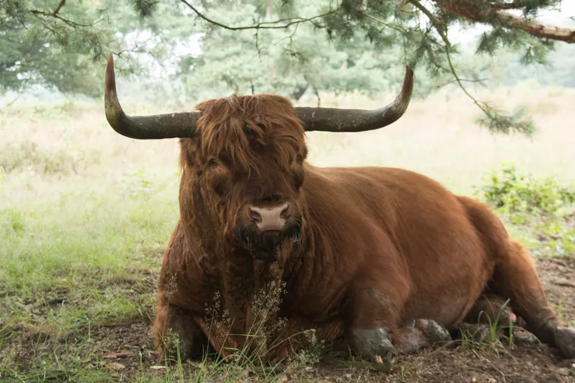 screenshot 20240305 155120