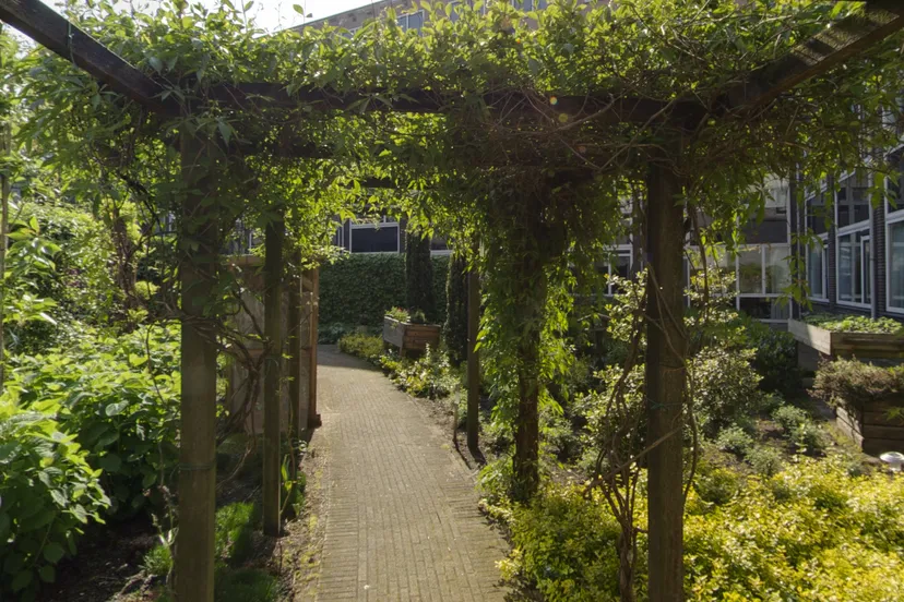 screenshot 20240309 113836