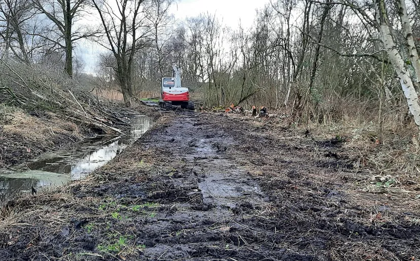 screenshot 20240310 141312